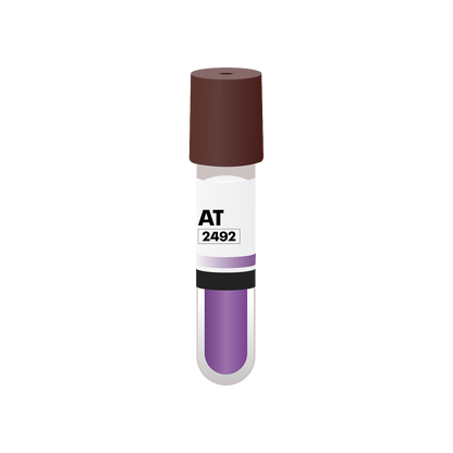 Atlas Shield™ Biological Indicators – 24 Hours (Box of 50)